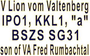 V Lion vom Valtenberg IPO1, KKL1, "a" BSZS SG31 son of VA Fred Rumbachtal